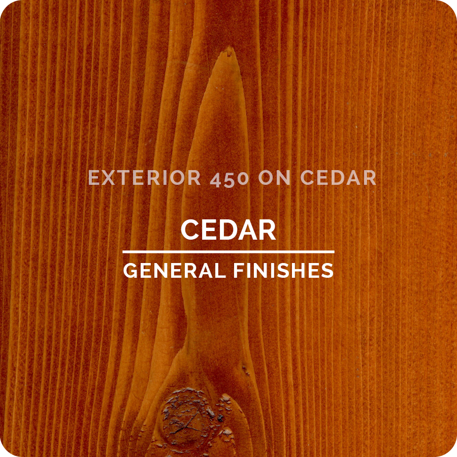 EXTERIOR 450 WATER-BASED WOOD STAIN